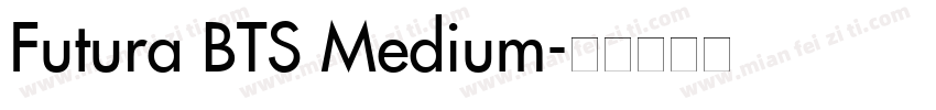 Futura BTS Medium字体转换